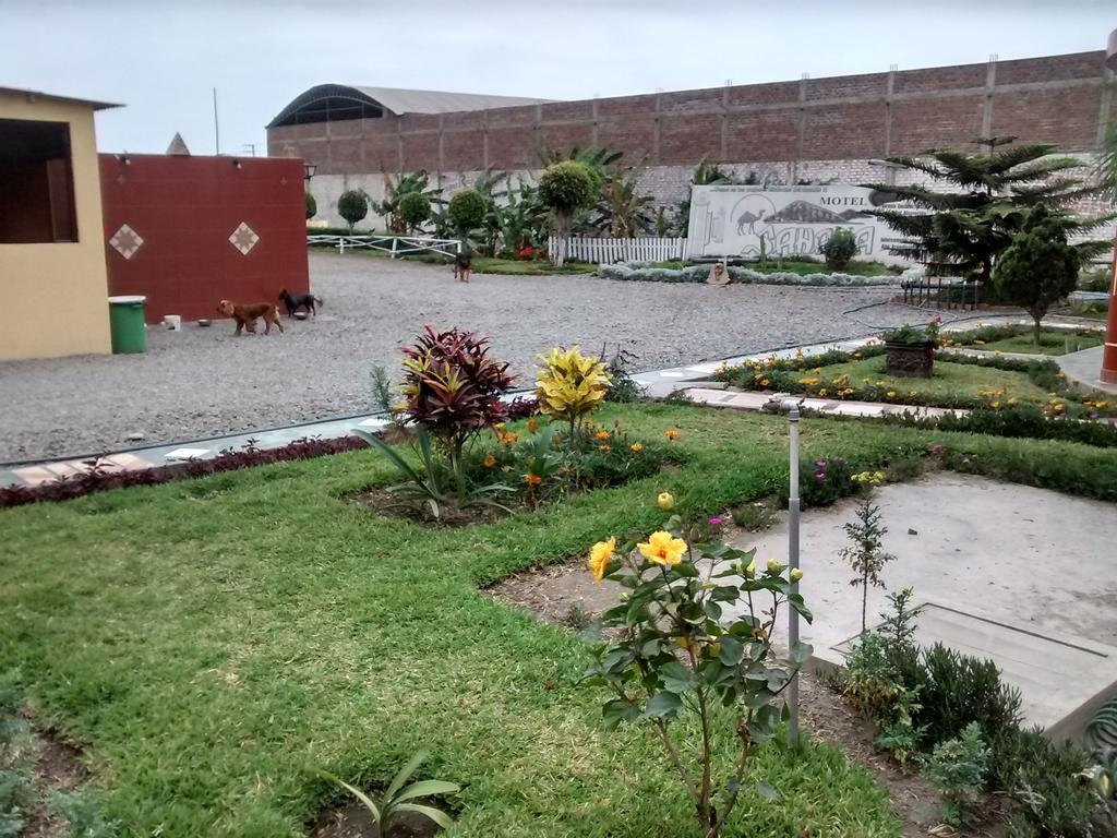 Motel Sahara Suites بارانكا المظهر الخارجي الصورة